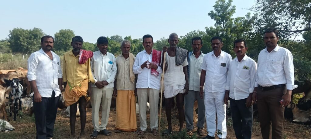 రైలు ప్రమాదంలో మృతి చెందిన గొర్రెలకు ఇన్సూరెన్స్ వర్తింపజేయాలి.