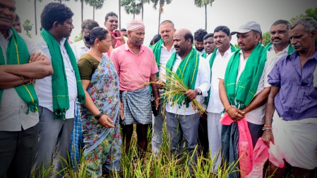 కురుమూర్తిలో ఎండిపోతున్న పంట పొలాల పరిశీలన